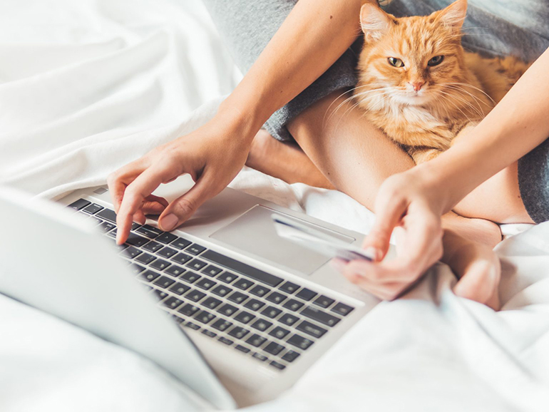 İnternetten Evcil Hayvan Mamaları Alırken Doğru Seçim Nasıl Yapılır?
