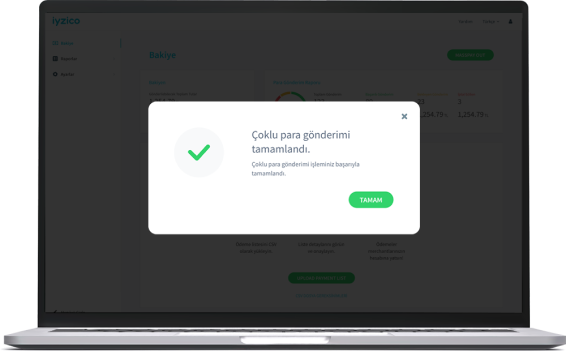 iyzicoYour payment has been remitted image 