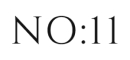 No 11